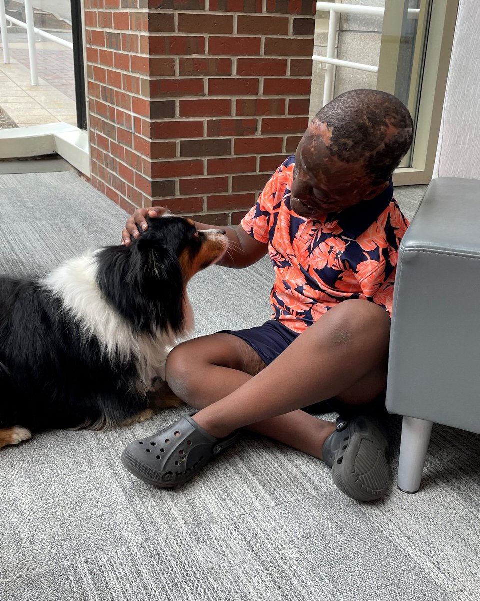 ShrinersBoston's tweet image. Sometimes, the best medicine at @ShrinersBoston comes with four paws and a wagging tail. Milo made a special visit to our hospital for pet therapy, spending quality time with our pediatric patients. Thank you, Milo! 🐕‍🦺🐾

#ShrinersChildrens #PetTherapy
@shrinershosp