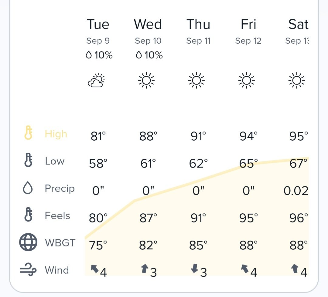 Lorri Hulliung tweet media