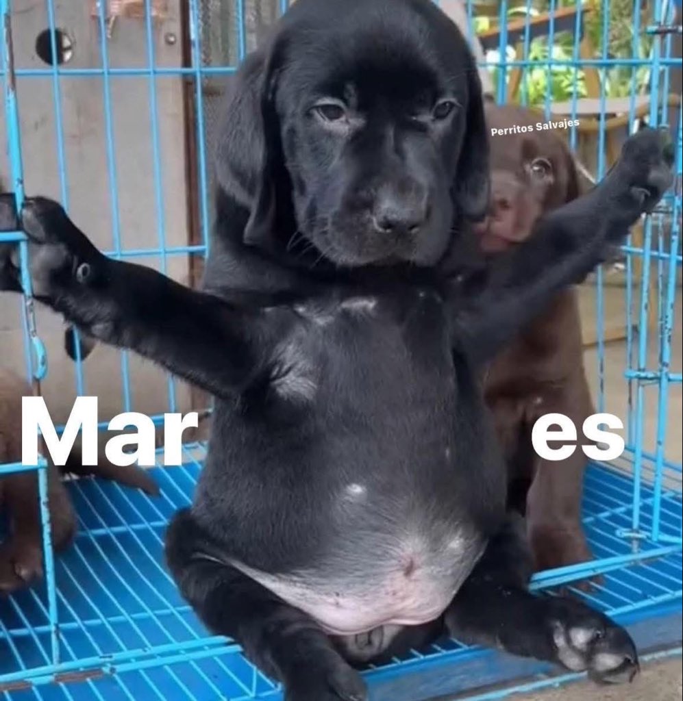 Feliz