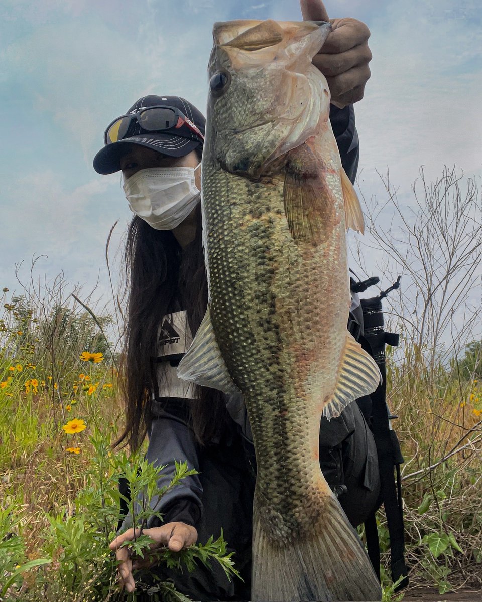 PRgensen tweet picture