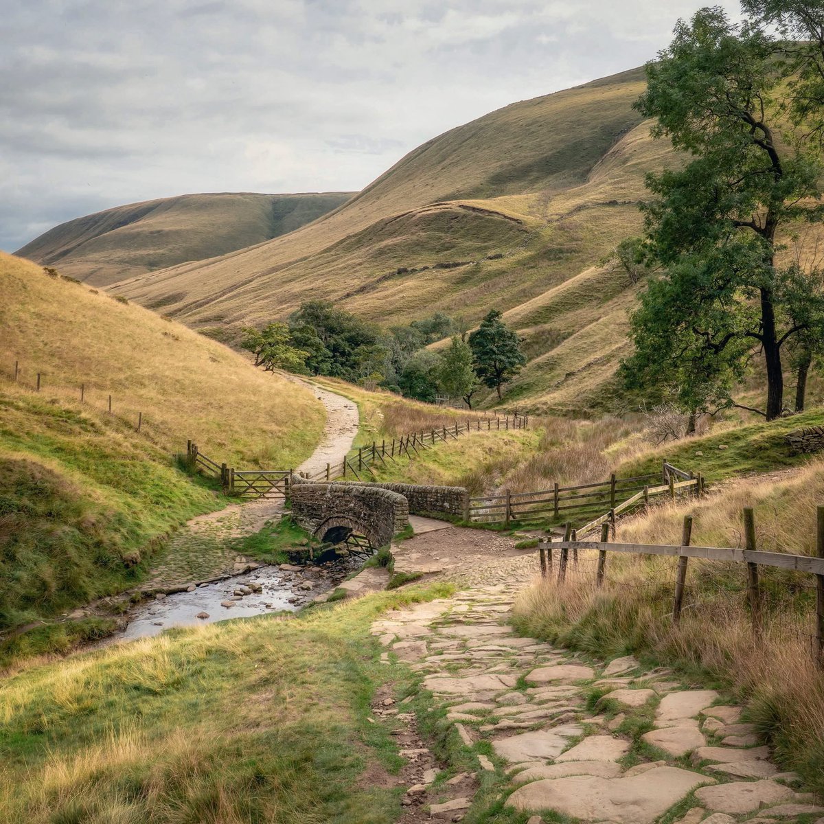peaklass1's tweet photo. In the foothills of Kinder Scout, the highest peak in the Peak District, you'll find the steep steps of Jacob's Ladder, leading to or from the village of Edale. It's a bit of a tricky trek whether you're going up or down, but it's always lovely to rest awhile in this pretty spot at the bottom, where a 17th Century stone bridge spans the River Noe. The bridge is a Grade II listed structure on what was once an important packhorse route over the moorland between Hayfield and Edale, used from medieval times into the 18th Century. At its narrowest point the walls of the bridge are only 27 inches apart.

This is a really special place to me as it's one of my very first memories of the Peak District, when my parents brought me here as a small child to climb Jacob's Ladder. Of course in my mind I had pictured an actual ladder going up the hill, and to be honest I still feel slightly short-changed that it's only a path!

📍 Jacob's Ladder, Peak District, England