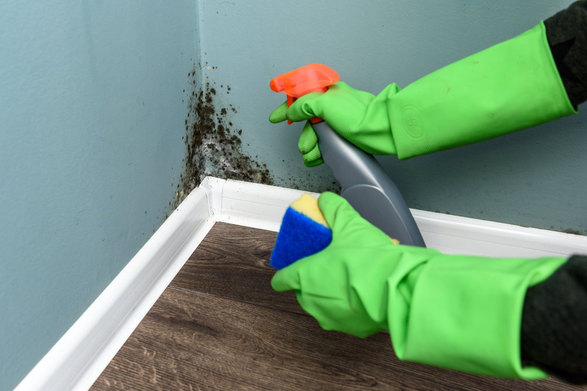 ELSPLLC's tweet image. Florida mold service professionals—non-compliance with DBPR can end your license. Elevate Legal Services, PLLC, is here to help.

📞 561-770-3335 | info@elawfirm.org

Read more ⬇️
 elawfirm.org/blog/florida-m…

#MoldRemediation #DBPRDefense #LicenseProtection #FloridaLaw