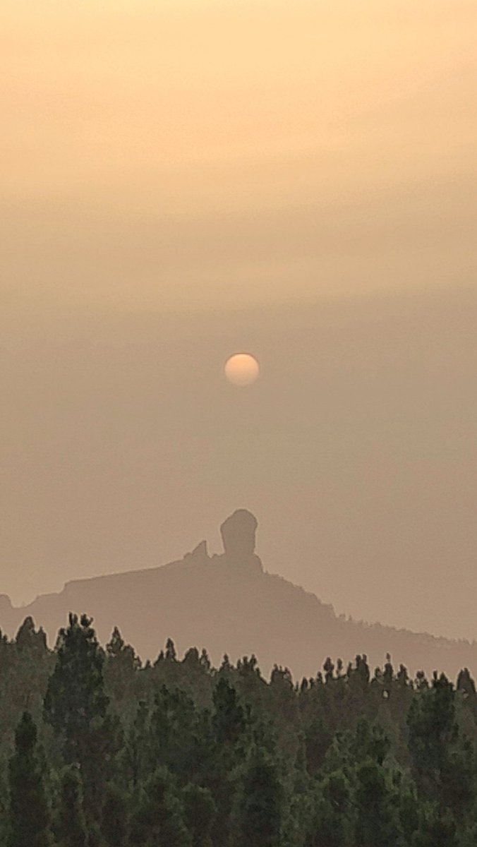 AstroEduca & AstroCanarias tweet media