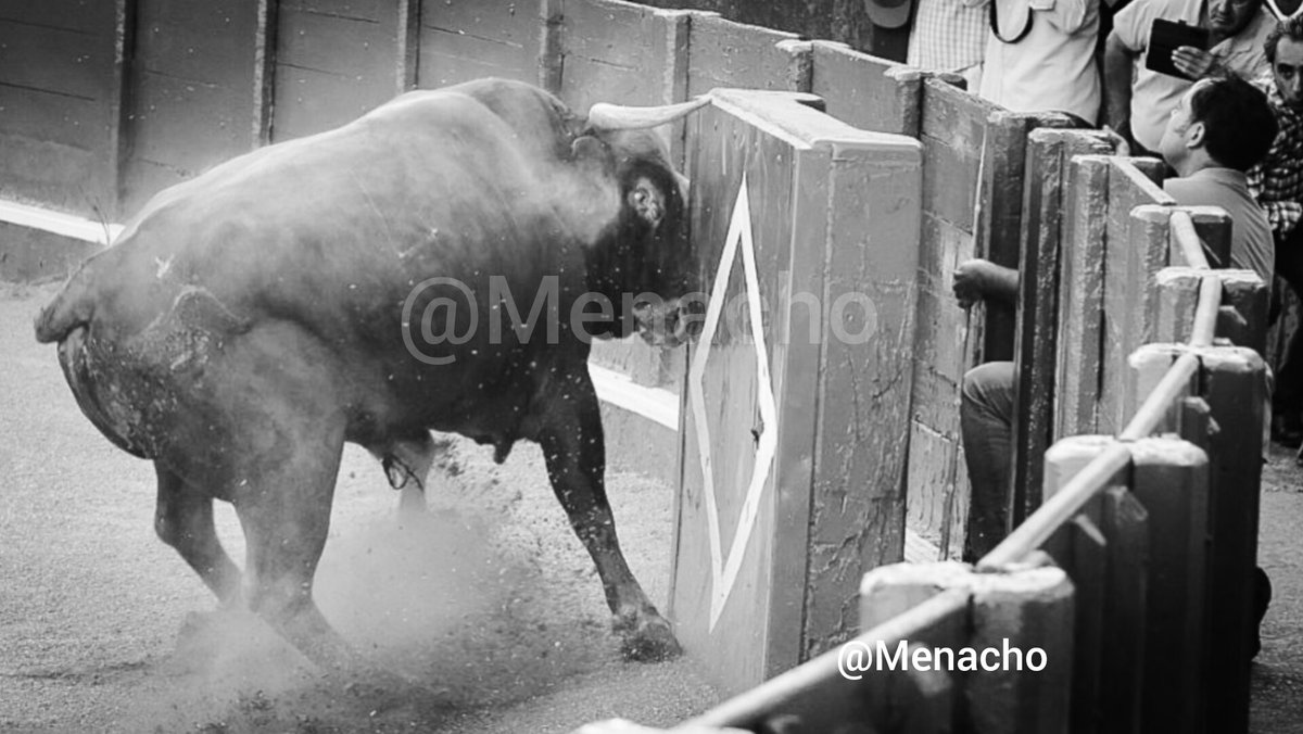 objetivoeltoro's tweet photo. 💥 Desenjaule en #Salamanca de los primeros festejos del abono: #Montalvo #Garcigrande #Vellosino y #GarciaJimenez 
👇👇 https://t.co/klQvbFGs2J