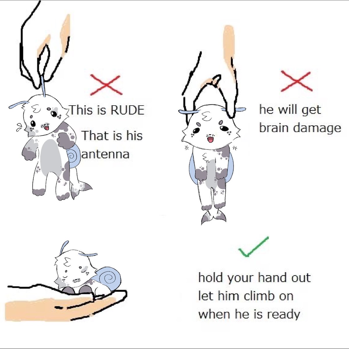 do not the sneal