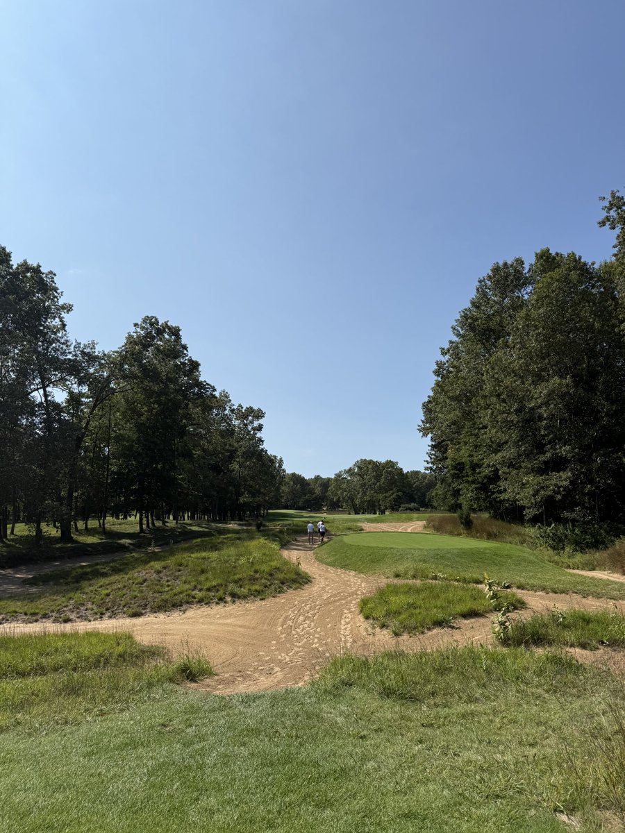 Gus Gottfred tweet media