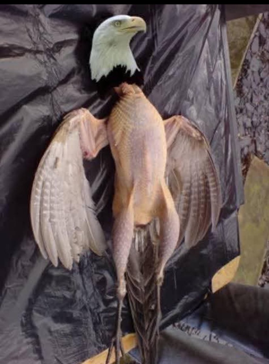 Super Eagles current situation 😭😭