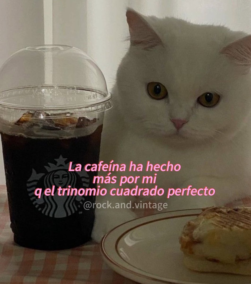 evelyncarmona's tweet photo. https://t.co/E5XKdIO0Jh