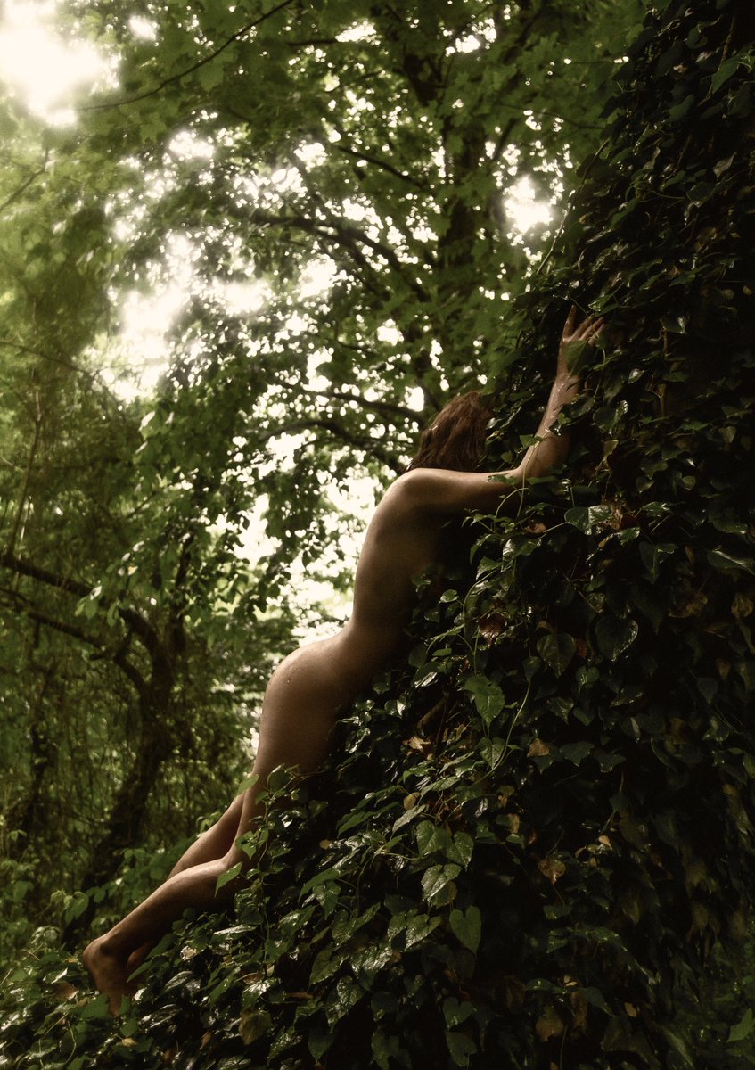 Rosaline tweet media