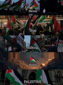 Palestine Culture tweet media