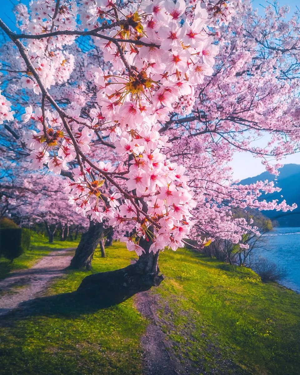 Ibrahim15130787's tweet photo. 🍃 https://t.co/lXB0B01Dvj