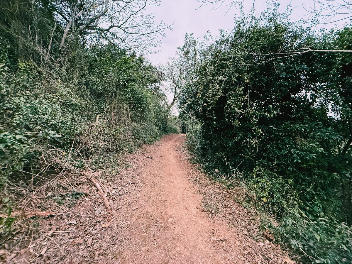 Mez Kennedy tweet media