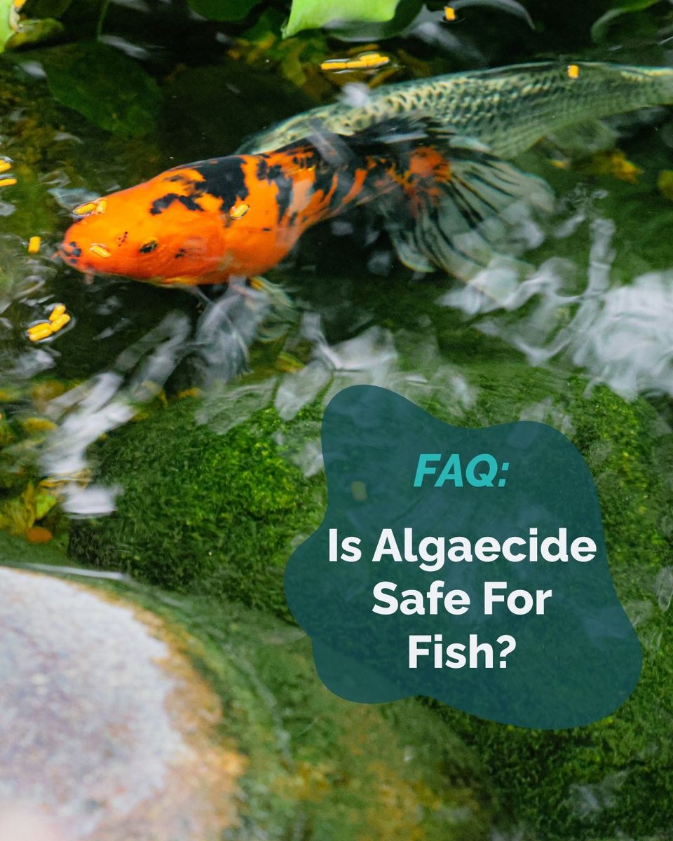 Colorado Pond Pros tweet media