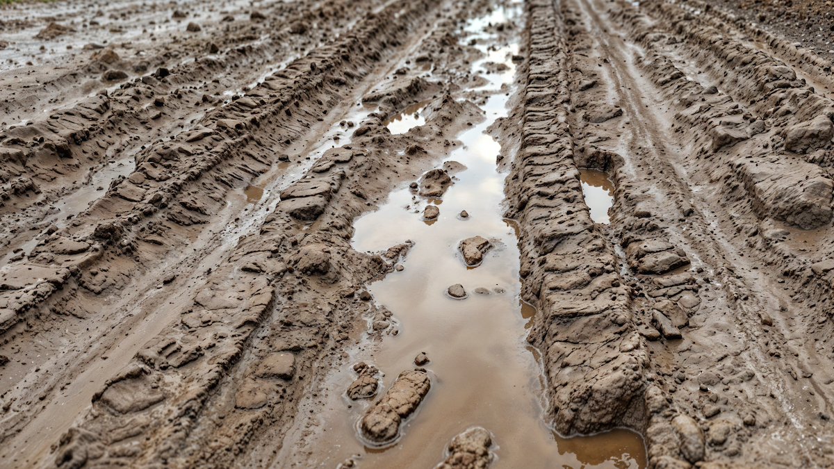 SportStarsMag's tweet image. 💨✨ Don’t let mud slow you down! Discover our essential tips to conquer muddy cross country courses like a pro!🛤️  #RunningCommunity #KeepRunning #SportStars #XCtips sportstarsmag.com/2025/09/top-ti…