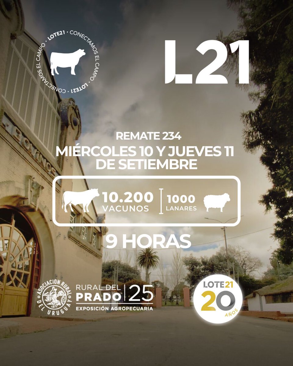 🗓️ MAÑANA MIÉRCOLES 10 Y EL JUEVES 11 DE SEPTIEMBRE REALIZAMOS NUESTRO REMATE 234.
📍 DESDE EXPO PRADO 2025, por cuarto año consecutivo.
🕤 A partir de 9AM.
Estaremos ofreciendo 10.200 vacunos y 1000 Lanares.
💉Con sanidad Microsules y🤝 financiación Santander.