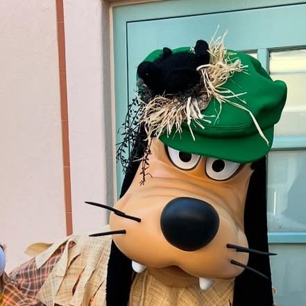 MicroFins's tweet image. WIP.  The local Halloween stores did not have any tiny crows for sale... so we're painting the cardinals black. 🐦-&amp;gt;🐦‍⬛