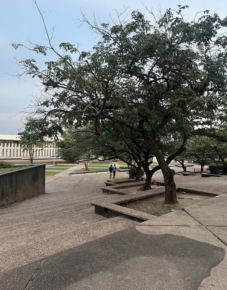 Took a walk this evening.