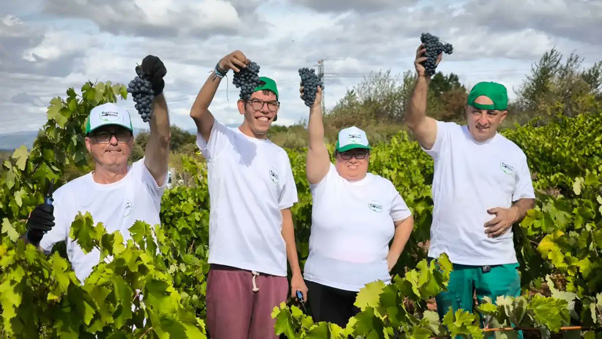 Asprona Bierzo inicia su tercera vendimia para elaborar el vino Aspronautas
bierzotv.com/asprona-bierzo…
<a href="/AspronaB/">Asprona Bierzo</a>