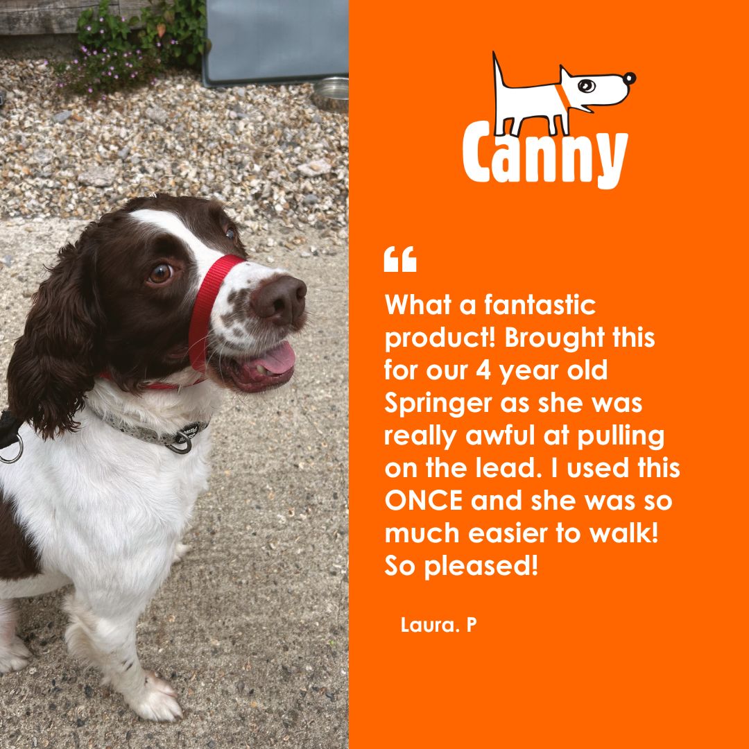 ⭐️⭐️⭐️⭐️⭐️
"Used this ONCE with my 4-year-old Springer who pulled like mad — and suddenly walks are a breeze! So pleased." – Laura 🐾

No more tug-of-war, just happier walks. 🧡

👉 Who else needs calmer walks with their dog? #cannycollar