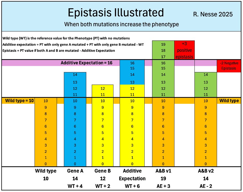 Randy Nesse tweet media