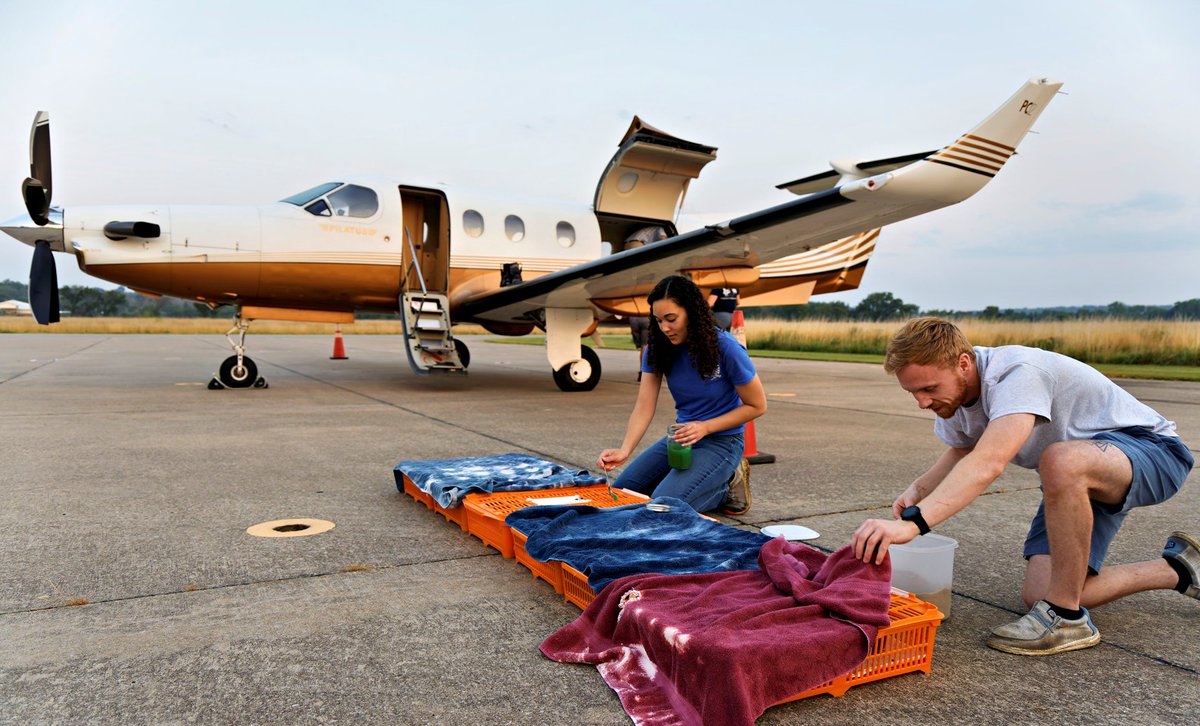 lighthawk_org's tweet image. 🛩️ LightHawk gave a lift to some fellow aviators—300 masked bobwhite quail chicks + 5 adults!

Volunteer pilot Warren Dean flew them from OK to AZ, where they’ll be released at Buenos Aires NWR to help restore this endangered species.

#FlyingForGood #ConservationInFlight