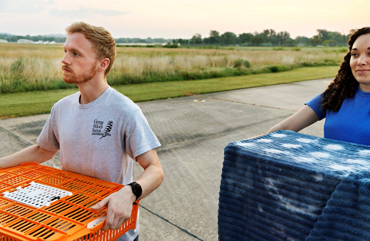 lighthawk_org's tweet image. 🛩️ LightHawk gave a lift to some fellow aviators—300 masked bobwhite quail chicks + 5 adults!

Volunteer pilot Warren Dean flew them from OK to AZ, where they’ll be released at Buenos Aires NWR to help restore this endangered species.

#FlyingForGood #ConservationInFlight