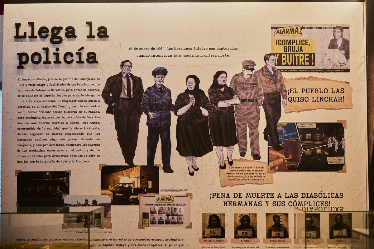 Ningún caso sentó tantos precedentes para la prensa y la sociedad mexicana como el que inspiró la historia de 'Las Muertas'.
Descubre cómo un caso real dio paso al libro de Jorge Ibargüengoitia y también a la nueva serie de Luis Estrada en esta muestra exclusiva en la Cineteca