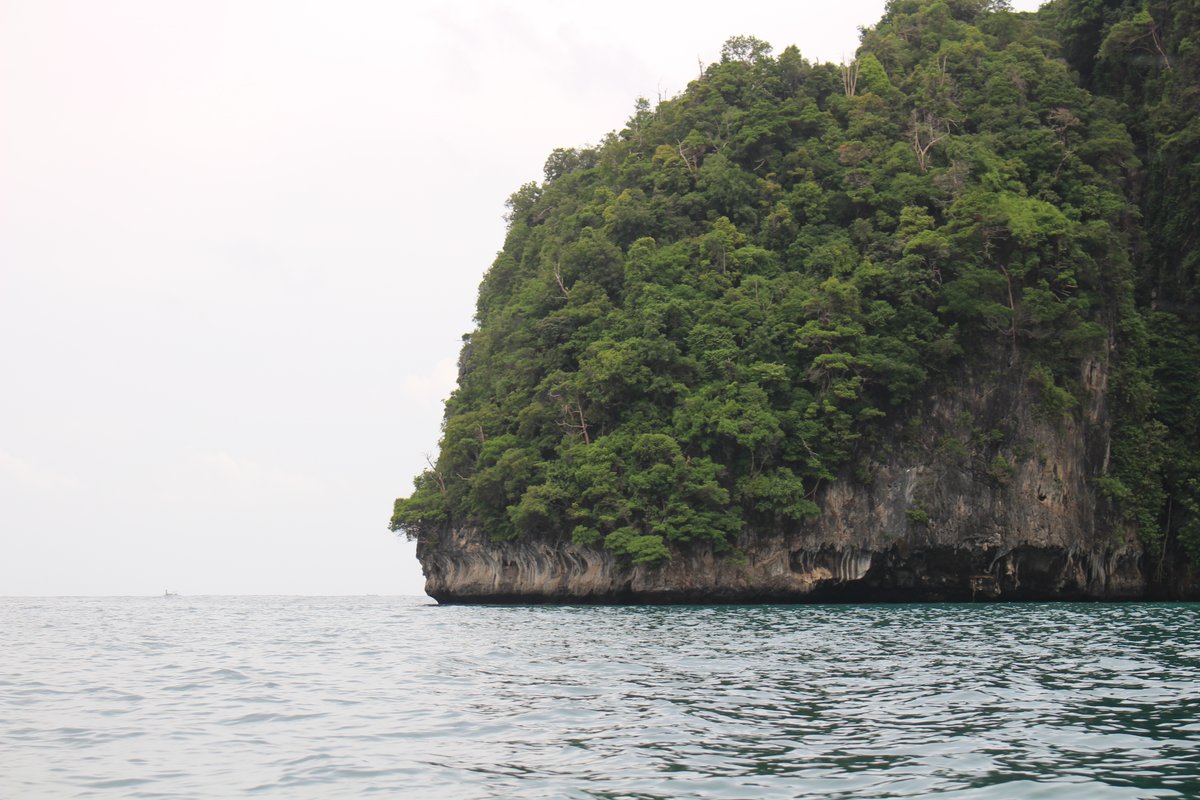 pablo ⛅ tweet media