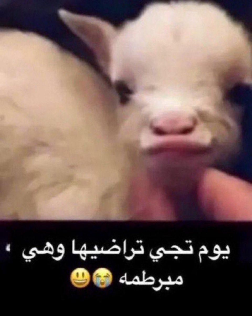 فهد (@f5nfc) on Twitter photo 
