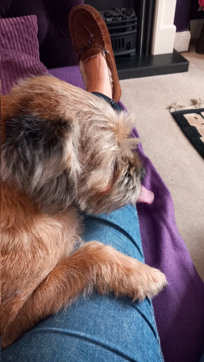 #tongueouttuesdays 
First in ages, becoz humum iz just too slow BOL