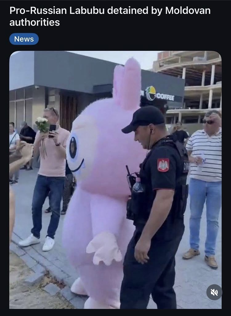 abi karas (@_abikaras_) on Twitter photo 