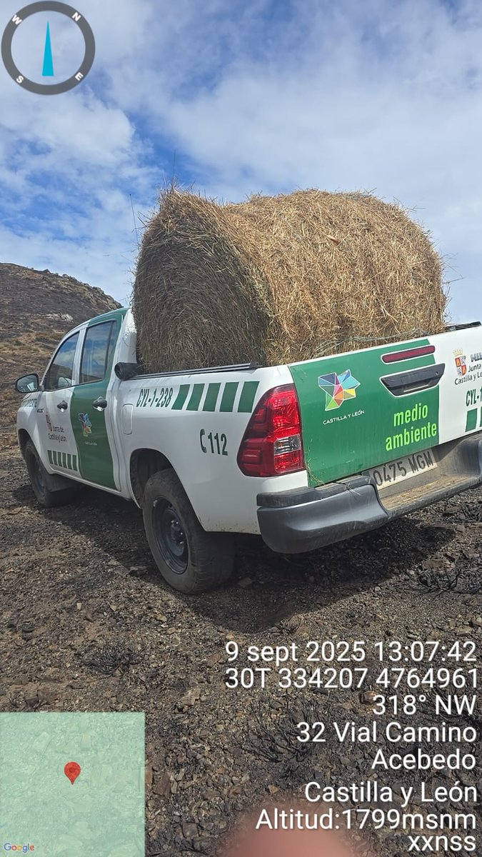 naturalezacyl's tweet image. Continuamos con reparto de heno, cereal y pienso vitaminado para la fauna silvestre en reserva de Caza de Riaño para mejorar su estado sanitario, evitar desplazamientos en busca de alimento, daños a la agricultura y contacto con animales domésticos #CCMA comunicacion.jcyl.es/web/jcyl/Comun…