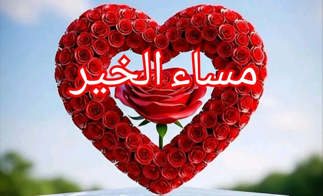 الصقراليماني (@thar967) on Twitter photo 