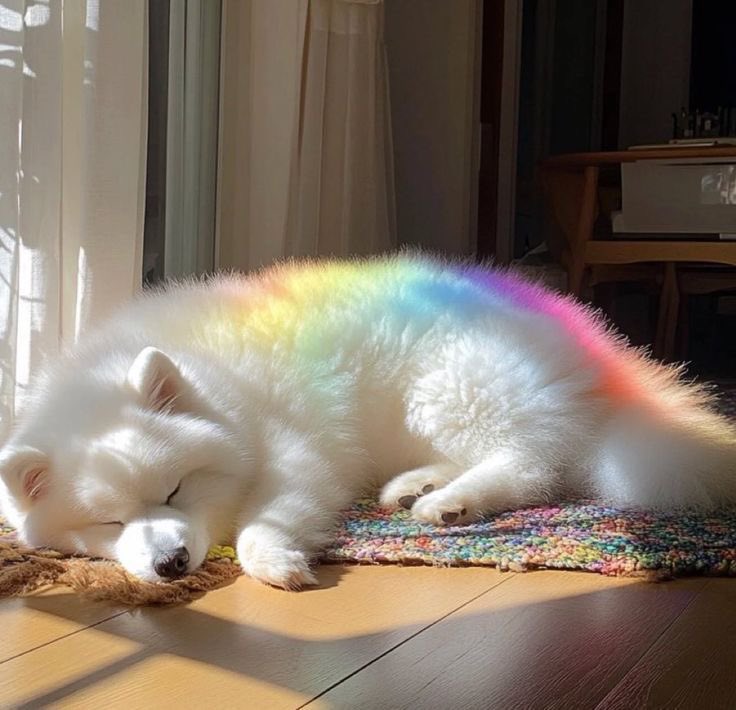 Puppies 🐶 (@puppiesiover) on Twitter photo 