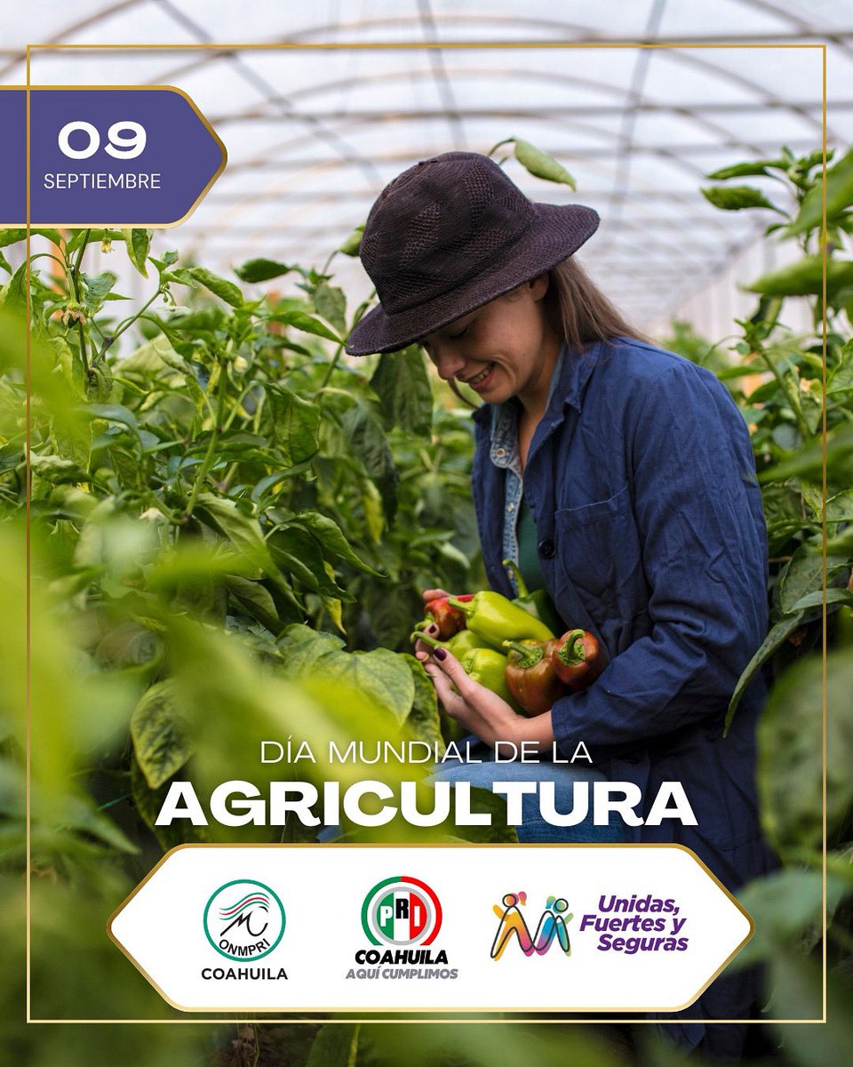 ONMPRI Coahuila tweet media