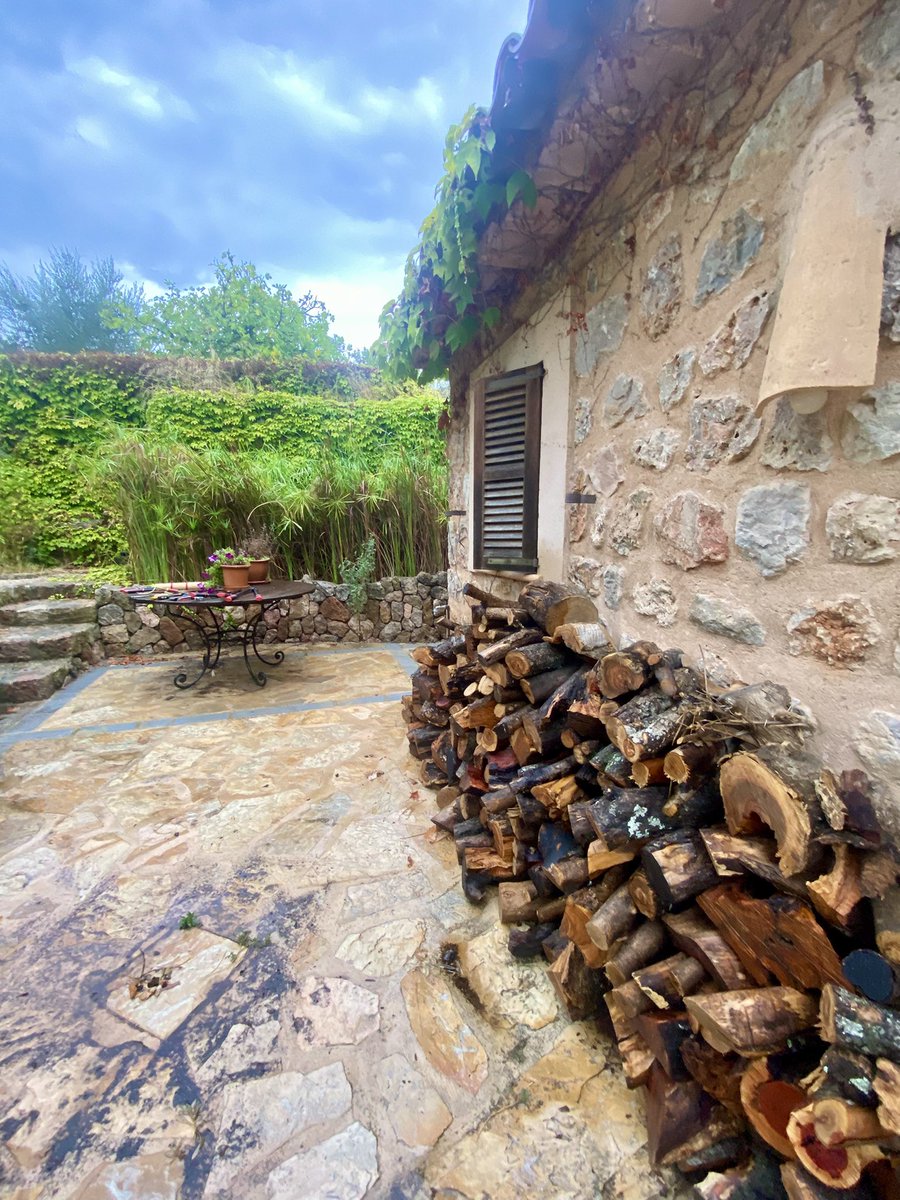 Sooooo loving this rain, as is our garden (but maybe not the cats &amp; hens🐓🐈‍⬛😆).