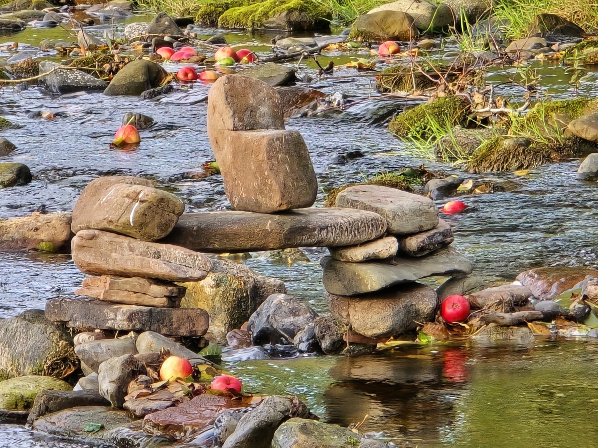 One of the guests built this in our campsite river. The apples being washed downstream happens  each year.... yet to discover where they come from!