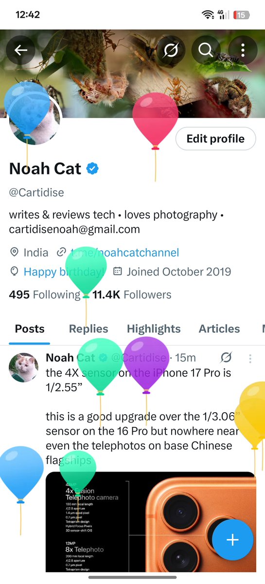 Noah Cat tweet media