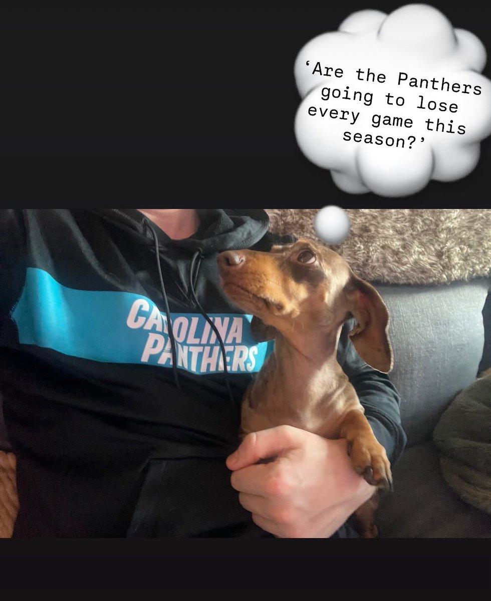 Irish Panthers tweet media