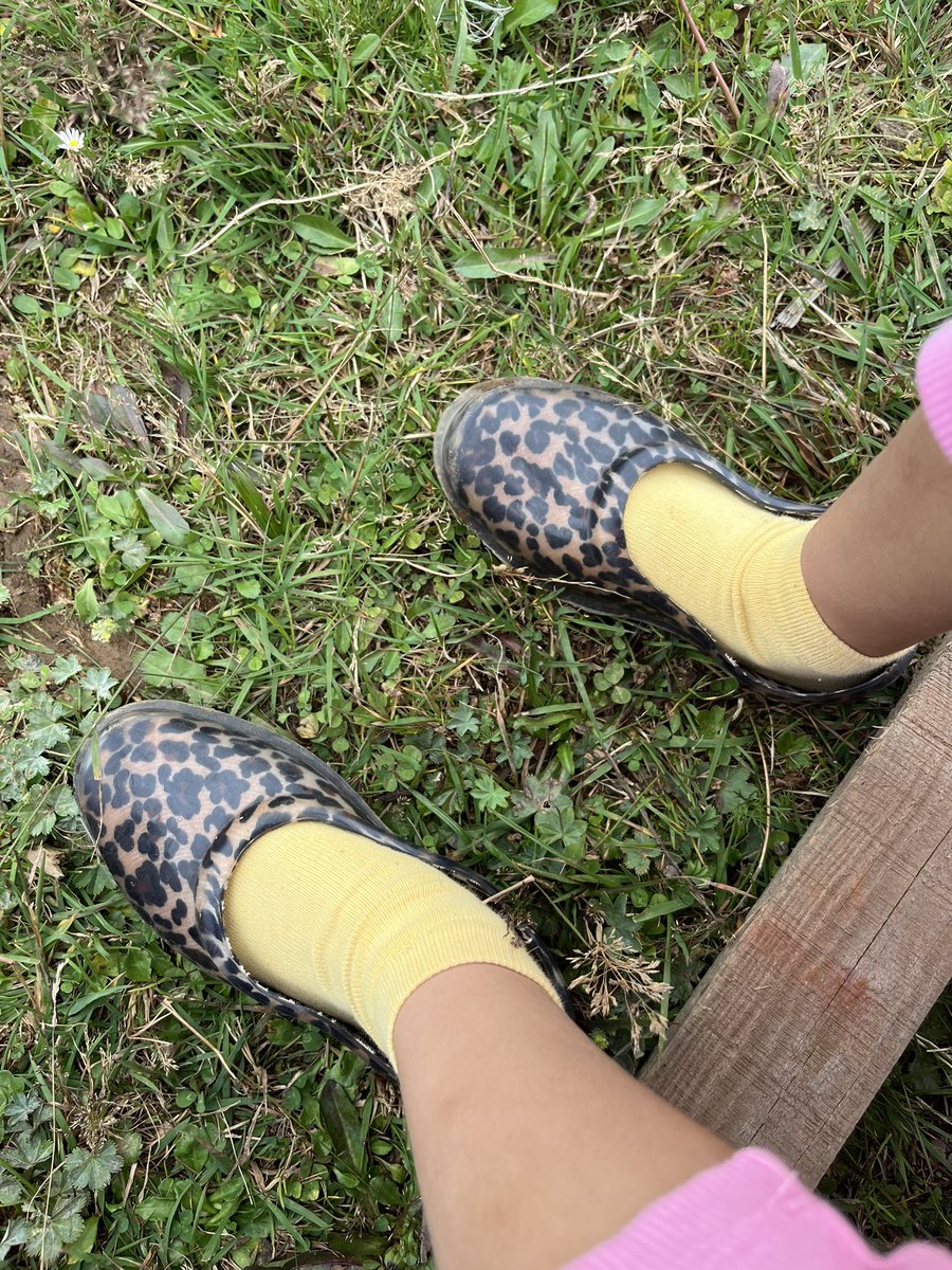 Yayla günlükleri⛰️🍀