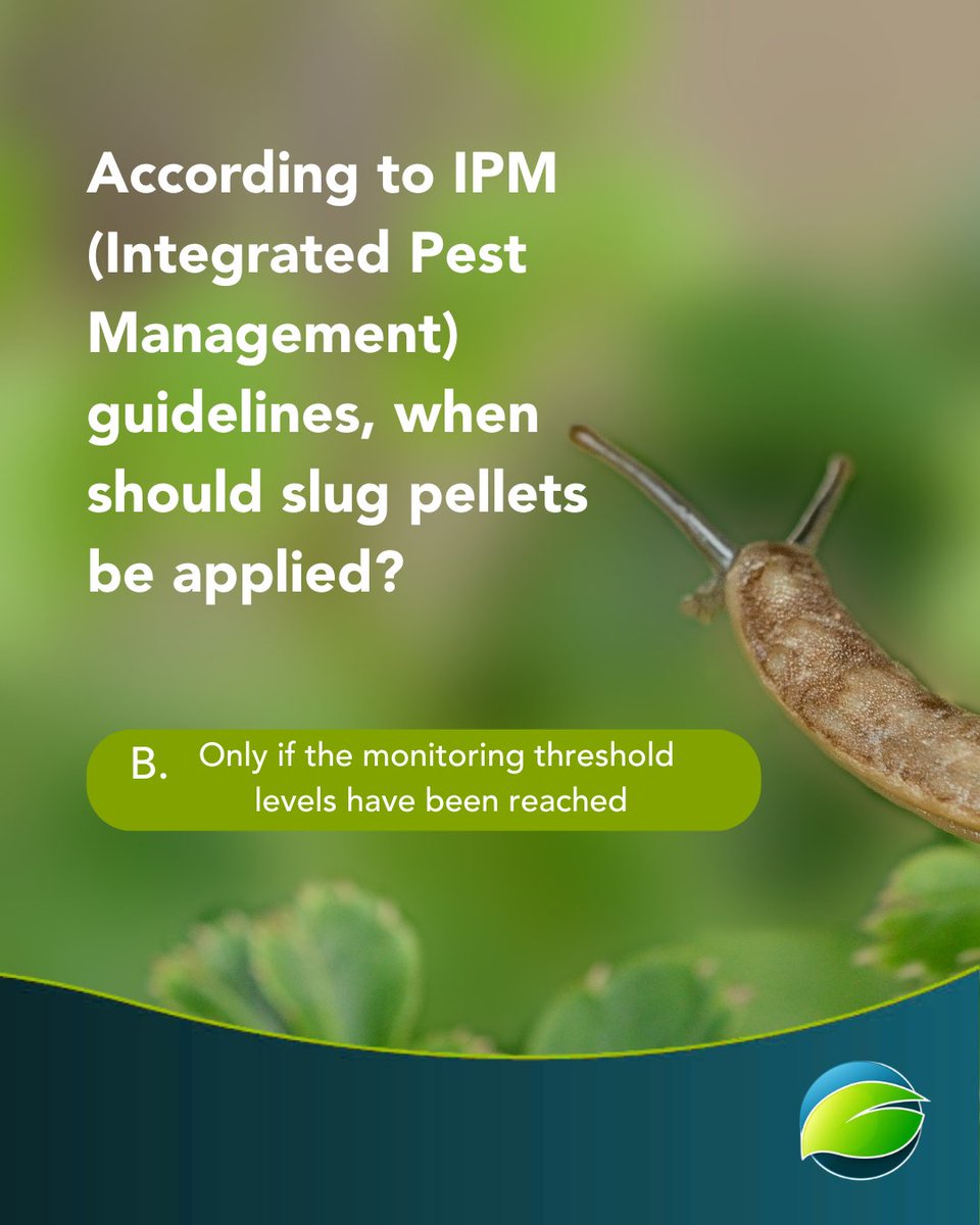 certis_belchim's tweet image. Congratulations to all who got today&apos;s quiz question correct. 
#SlugControl #CalibrationMadeEasy #CertisBelchimUK #SlugQuiz