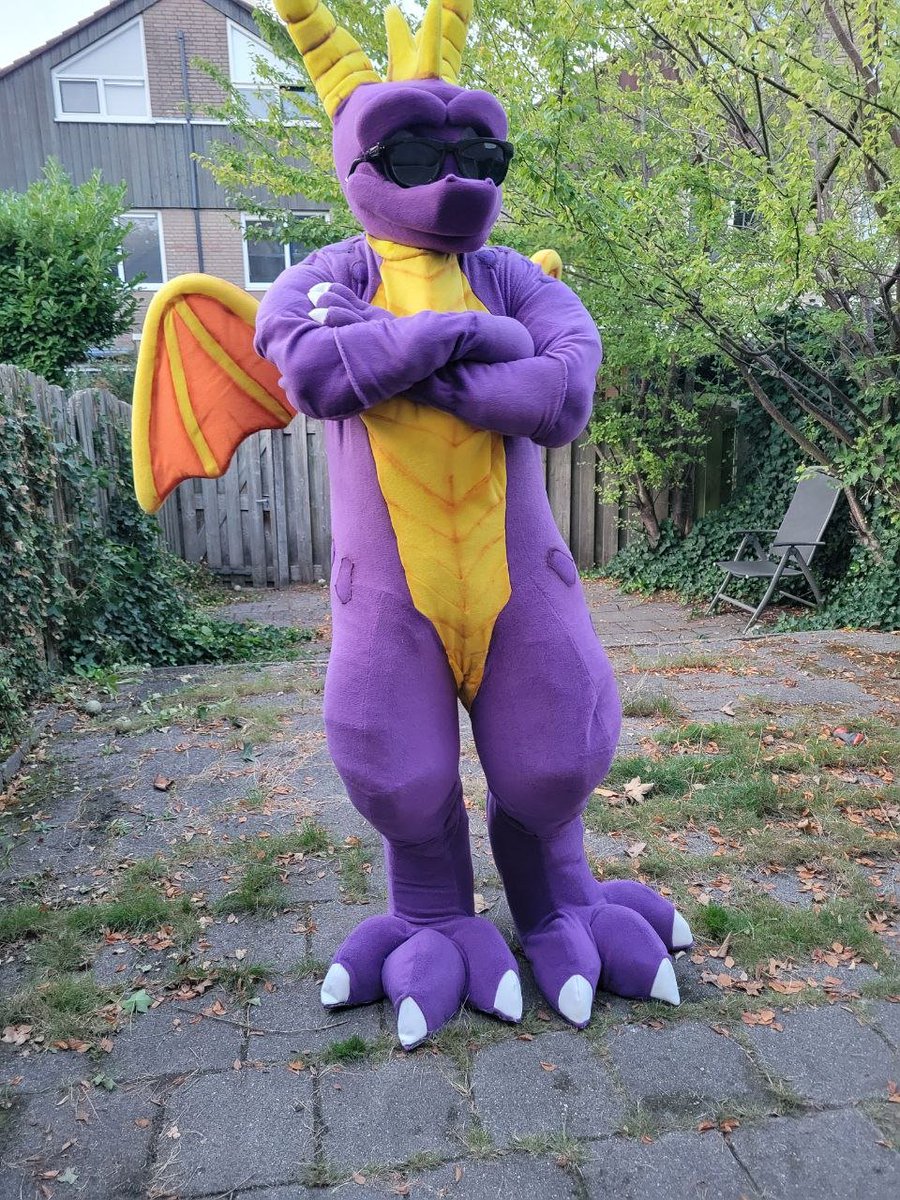 Analog Astronaut Draco / Spyro the Furgon tweet media