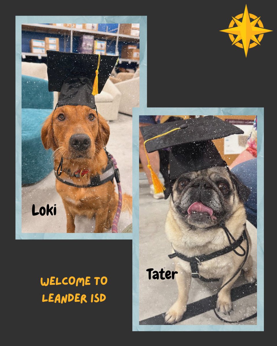🐾 🐾

<a href="/LISDCareers/">Leander ISD HR</a> is thrilled to introduce our newest therapy dogs who will be spreading joy and comfort <a href="/LeanderISD/">Leander ISD</a>  campuses. Meet Tater <a href="/ReaganElemCP/">Reagan Elementary</a>  and Loki <a href="/Rutledge_Elem/">Rutledge Elementary</a>! 💙🐶

🐾✨#lisdteachwithme #noplacelikelisd