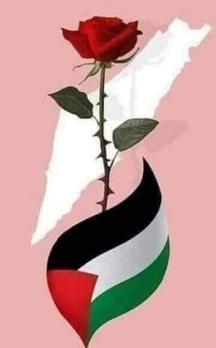 <a href="/heyamvoice/">Heyam</a> Kindly share and donate, in Gaza, people only have us to help them to survive this hell. ‼️🙏🫰🇵🇸🇵🇸🇵🇸