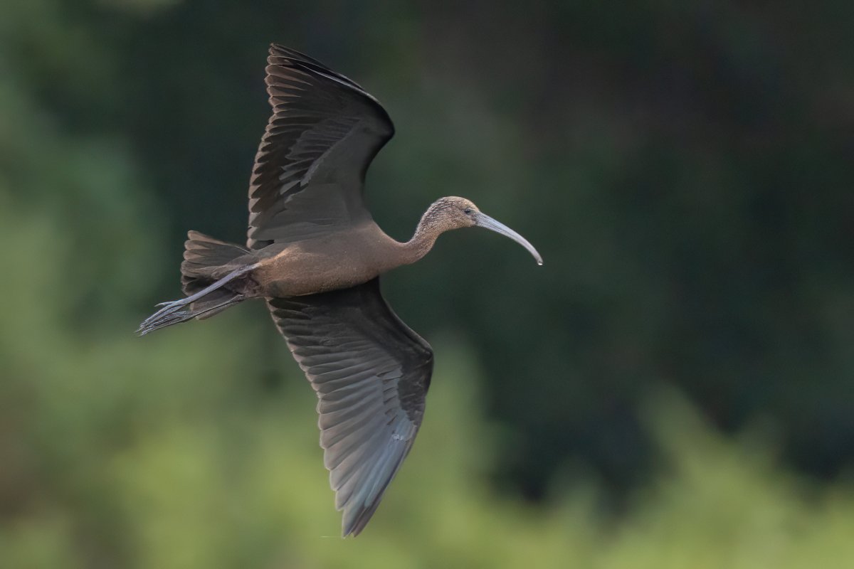 Mark Wright tweet media