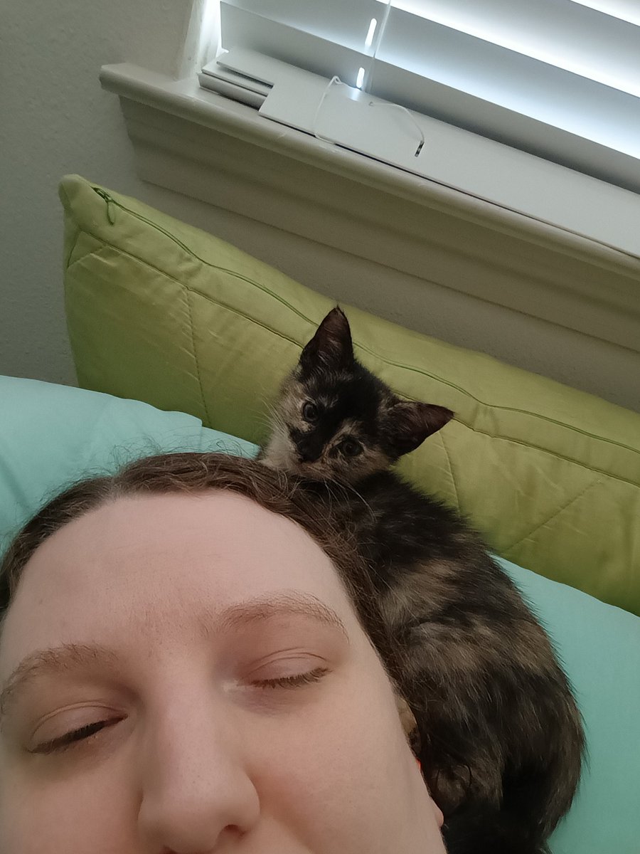 How do you like my new novelty hairdo