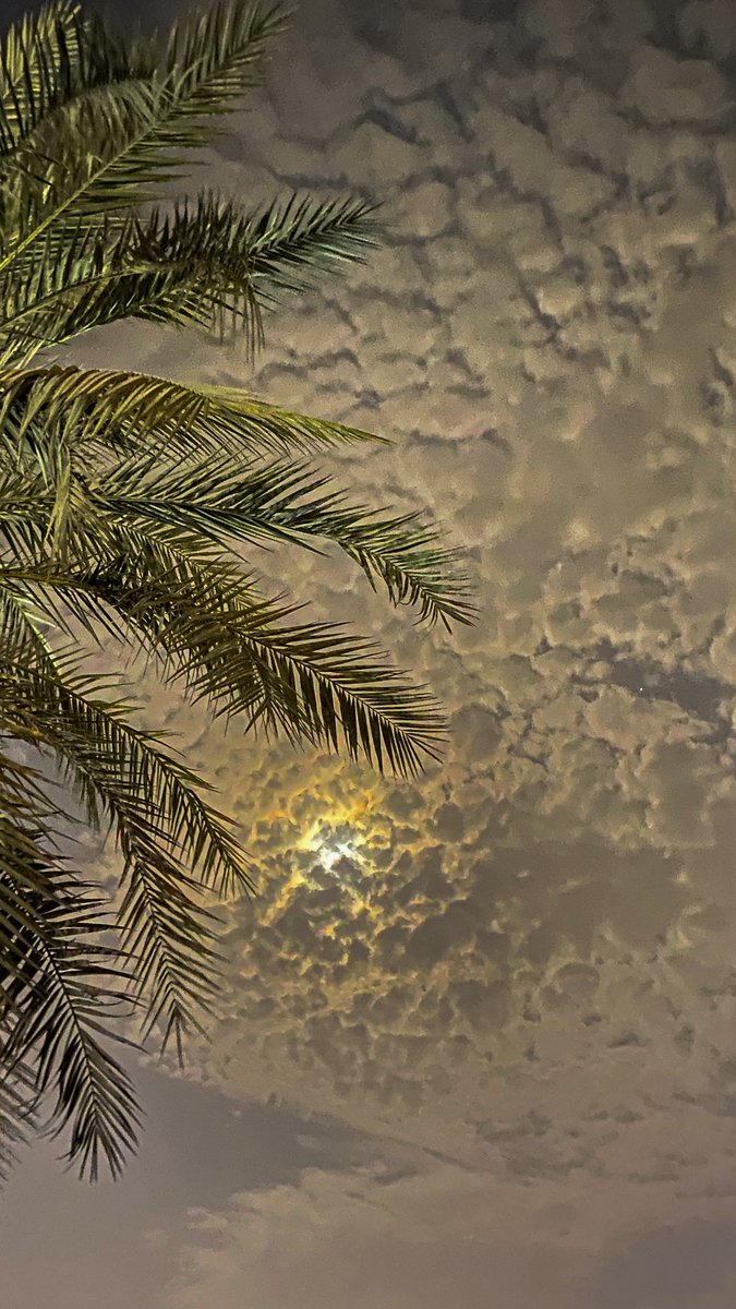 "ذَكَرتُ وُجوهَكُم وَالبَدرُ يَسري
كِلا البَدرَينِ مَسكَنُهُ السَحابُ

سَقاني اللَهُ قُربَكَ عَن قَريبٍ
دَعاءُ طالَ وَاِختُصِرَ الخِطابُ"