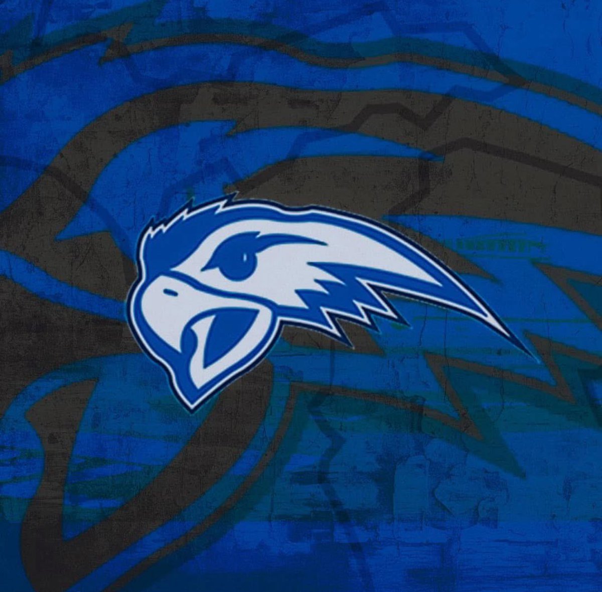 100% Committed 💙🤍 <a href="/HenryFord_Hawks/">Henry Ford Baseball</a>