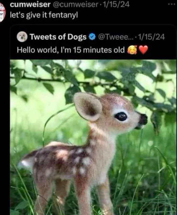 ManMilk2's tweet photo. https://t.co/gB3Qp5AbfP