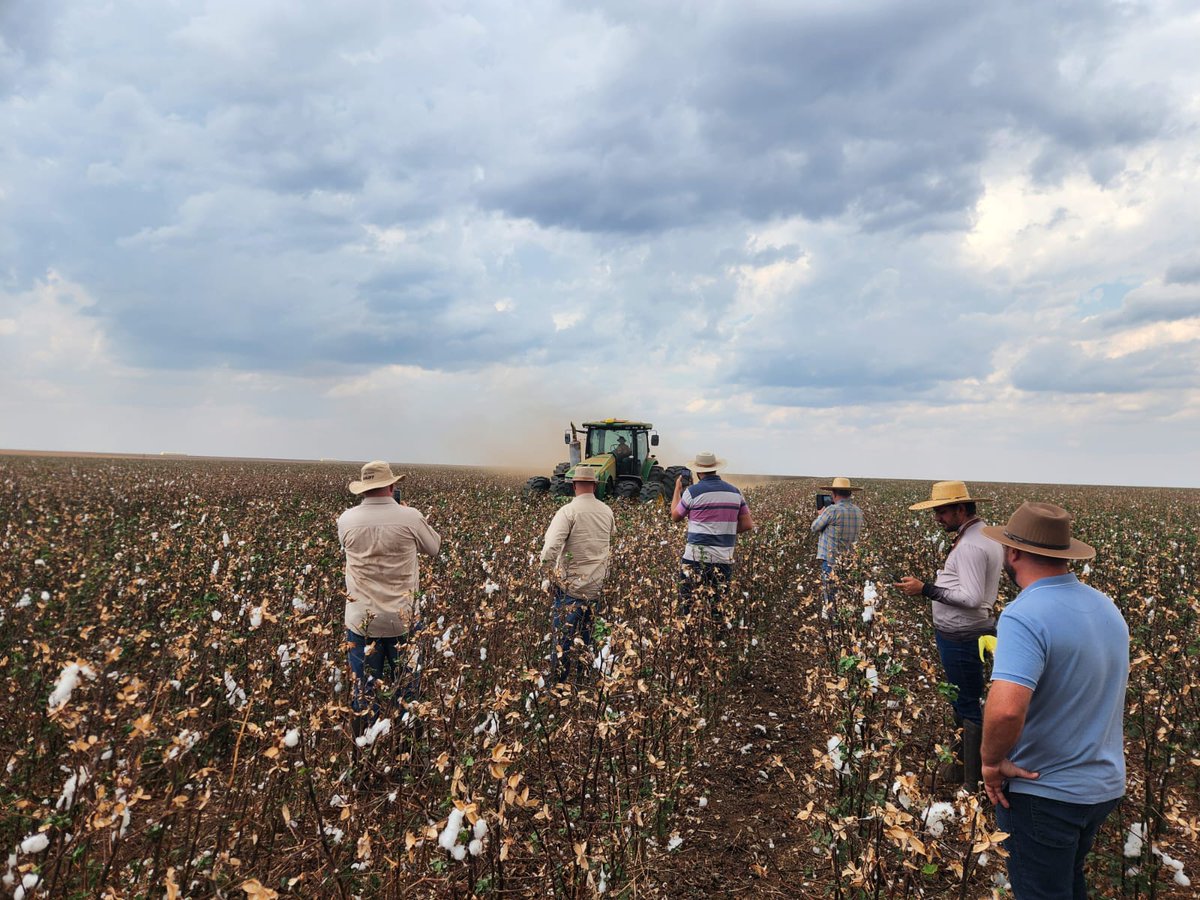 TTQAgriculture's tweet image. 40 minutes after a 25mm storm we were back out there... Brazil does it differently!
The bottle on the shredder when it&apos;s spinning at full speed  also never fails to impress... #balance #cotton #Brazil